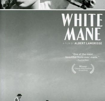 WHITE MANE - DVD-JANUS FILMS Fashion